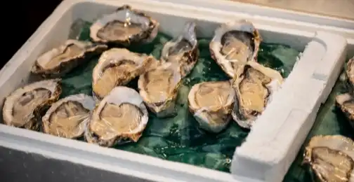 Can abalone peptides improve skin moisture retention?